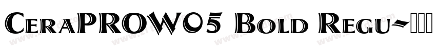 CeraPROW05 Bold Regu字体转换